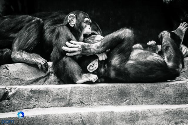 1605_MFA_Los Angeles_060