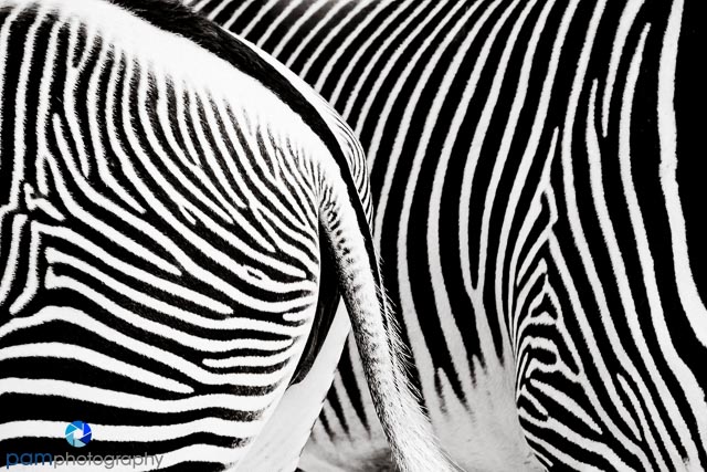 1605_MFA_Los Angeles_110