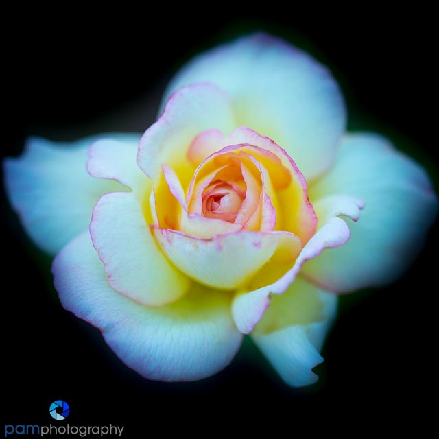 1606_PSA_Huntington_035