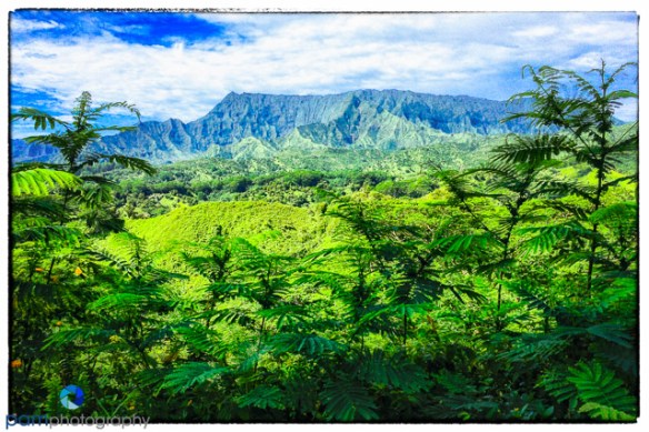 1510_MFA_iphone_027-Edit