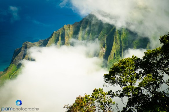 1510_MFA_Kauai_203