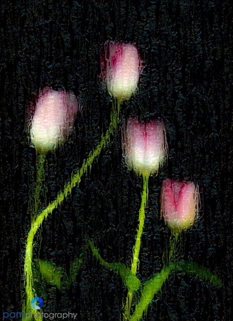 1602_MFA_Scanography_002