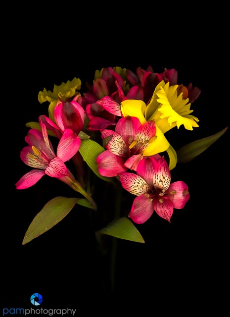 1602_MFA_Scanography_008-Edit-Edit