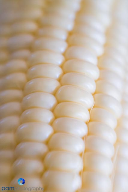 1608_MFA_lensbaby_082