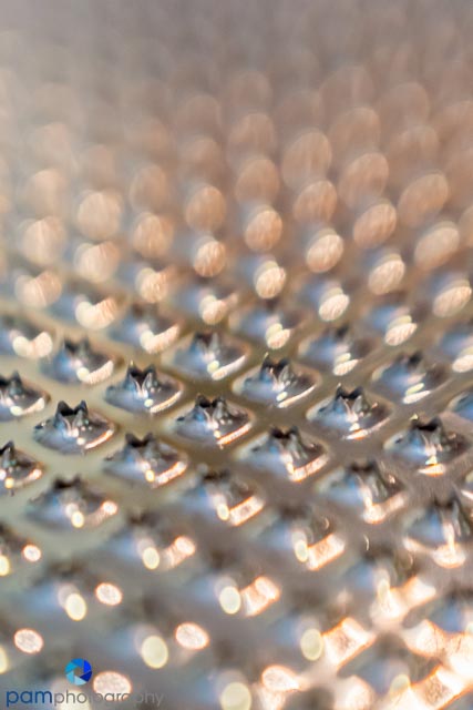 1608_MFA_lensbaby_086