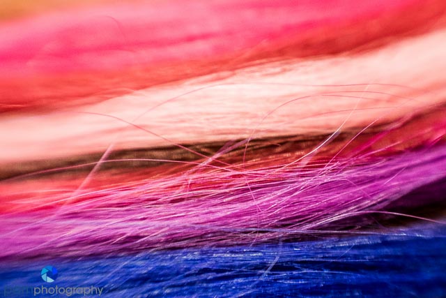 1608_MFA_lensbaby_092