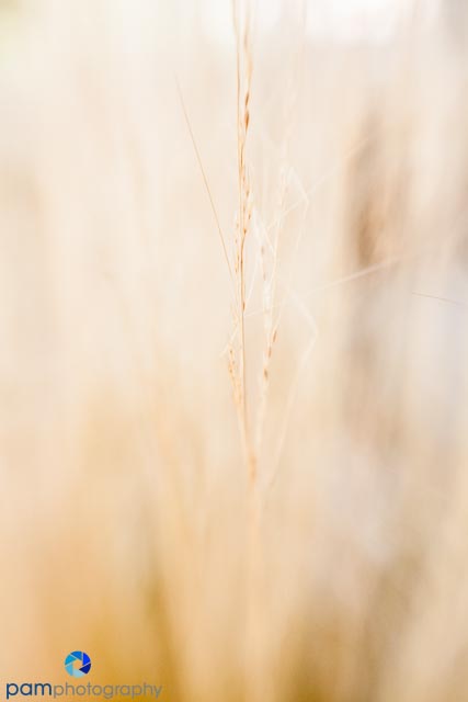 1608_MFA_lensbaby_104