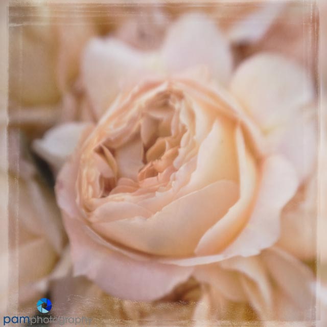 1608_MFA_Oxnard_012-Edit