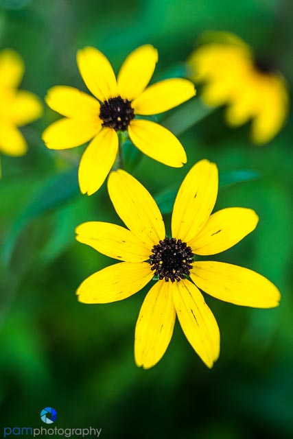 1608_MFA_Philadelphia_035