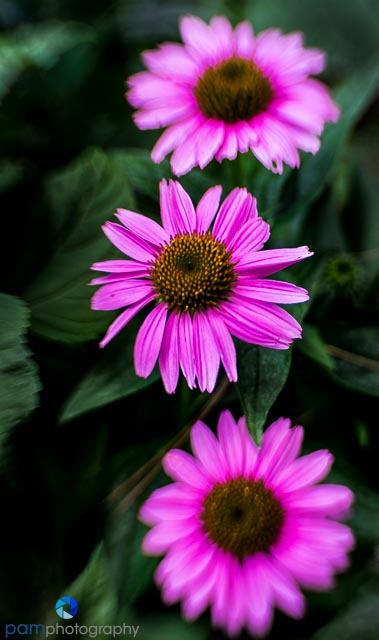 1608_MFA_Philadelphia_052