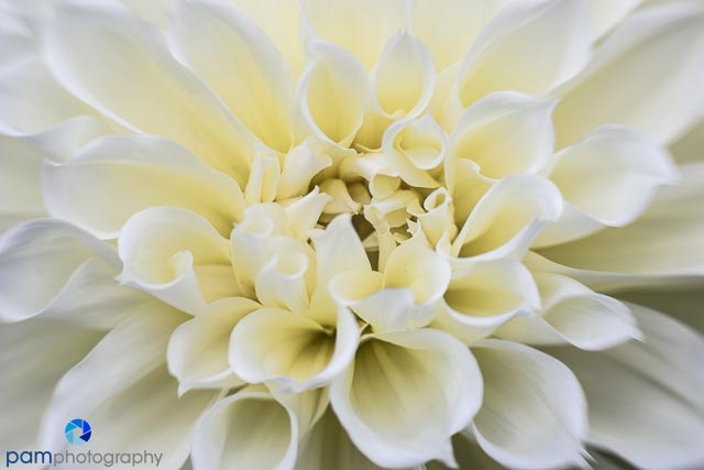 1608_MFA_Philadelphia_060