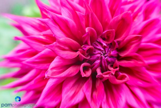 1608_MFA_Philadelphia_064