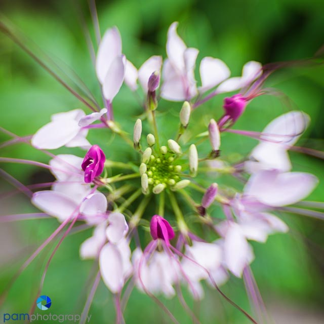 1608_MFA_Philadelphia_065