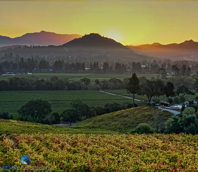 1609_psa_healdsburg_170-edit