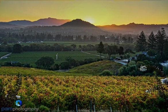 1609_psa_healdsburg_170