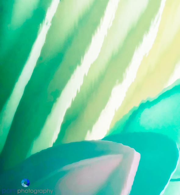 Photographing abstracts at a&nbsp;harbor