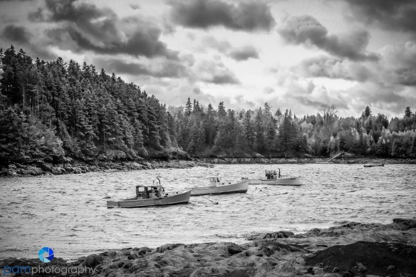 1610_mfa_maine-ir_061