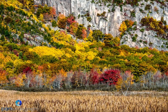 1610_mfa_maine_401-edit