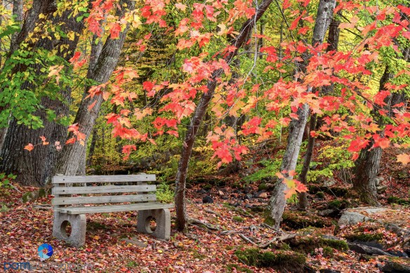 1610_mfa_maine_500-edit