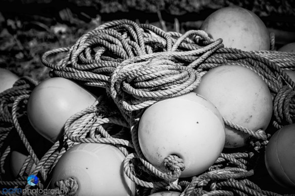 1610_psa_maine-ir_306-edit