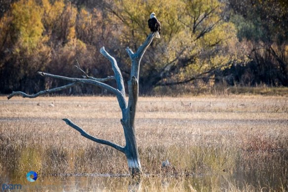 1611_mfa_new-mexico_011