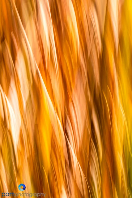 1611_mfa_new-mexico_013-edit