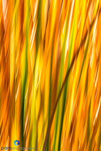 1611_mfa_new-mexico_014-edit