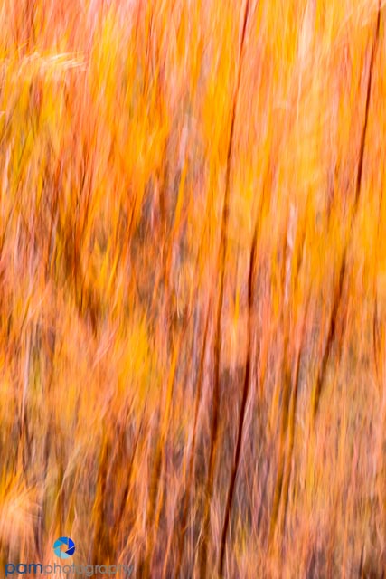 1611_mfa_new-mexico_024-edit