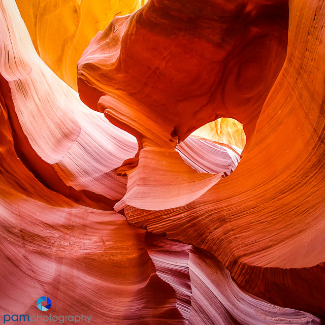 1604_psa_arizona_213