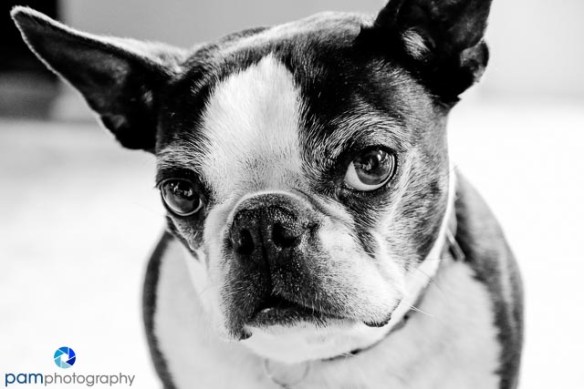 The one and only Zabi