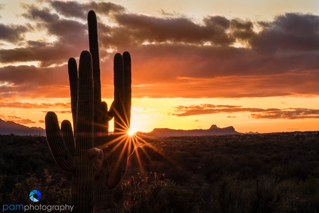 Mary’s Top Photos of&nbsp;2016