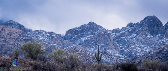 1612_psa_tucson_infrared_005