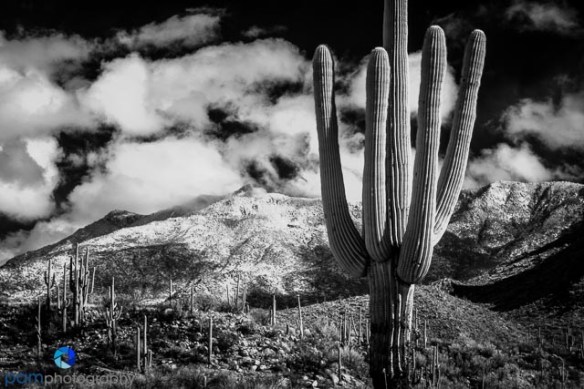 1612_psa_tucson_infrared_116