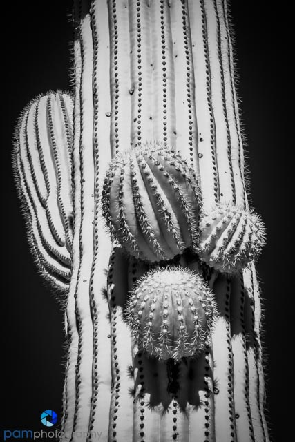 1612_psa_tucson_infrared_256-edit