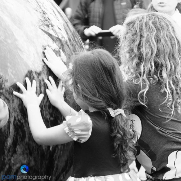 1701_mfa_disneyland_124