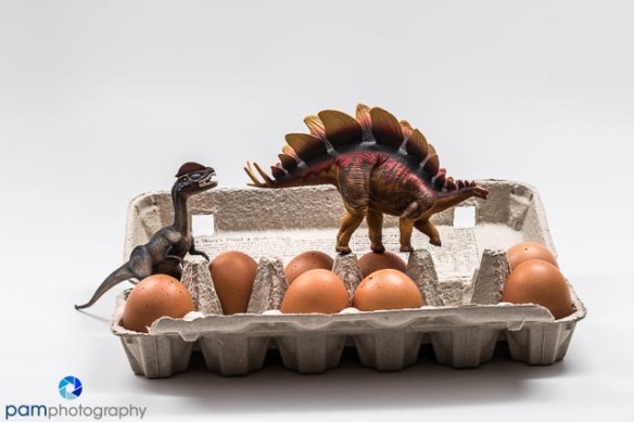 They hit some bumps in the road on their way to Dairy. Bob complained the whole way.