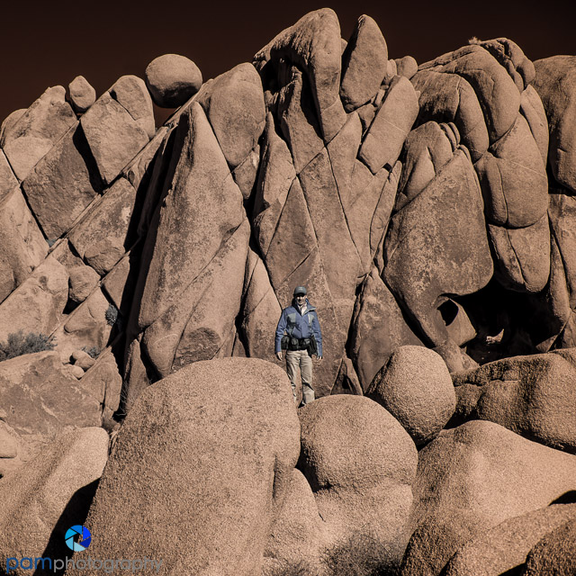 Photographing Jumbo Rocks in Joshua Tree National Park – Look. See ...
