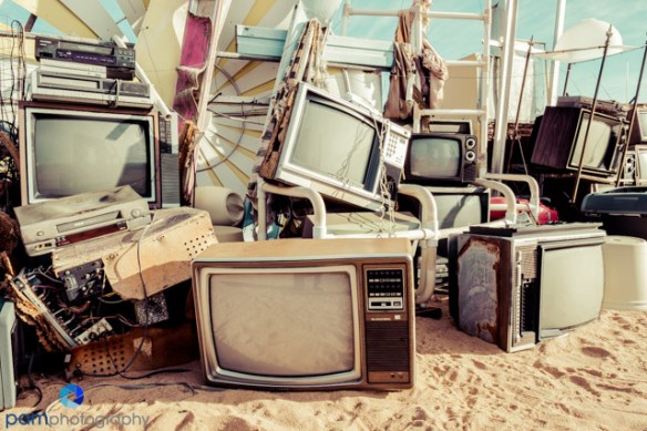 1702_mfa_joshua-tree_232