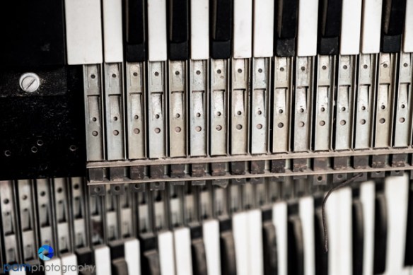 1702_mfa_joshua-tree_268-edit