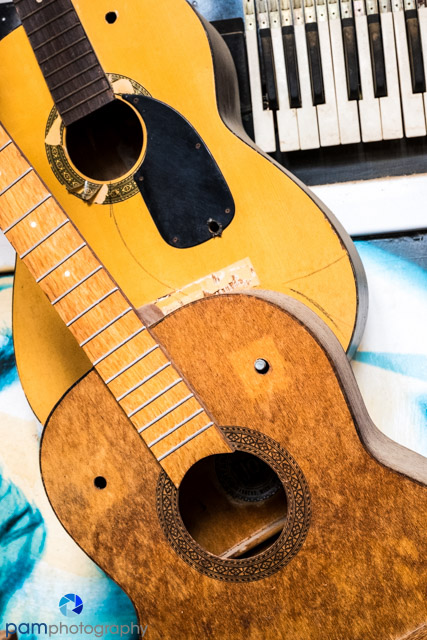 1702_mfa_joshua-tree_284