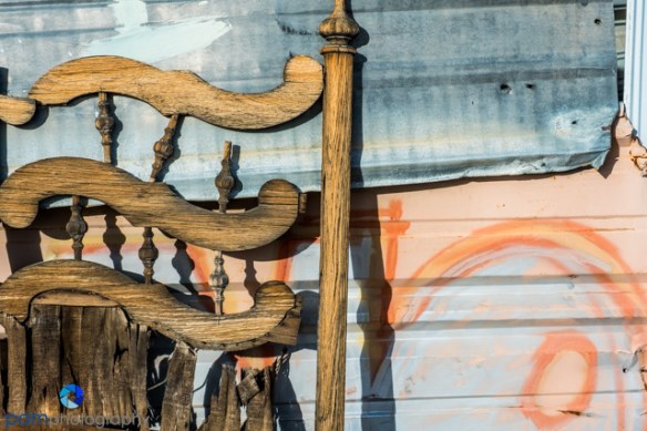 1702_mfa_joshua-tree_368