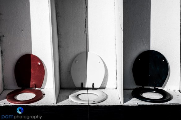 1702_mfa_joshua-tree_396