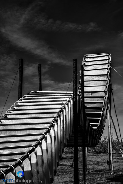 1702_mfa_joshua-tree_411-edit