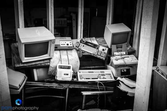 1702_psa_joshua-tree-ir_161