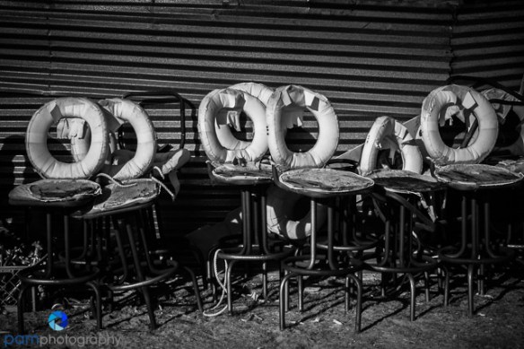 1702_psa_joshua-tree-ir_199