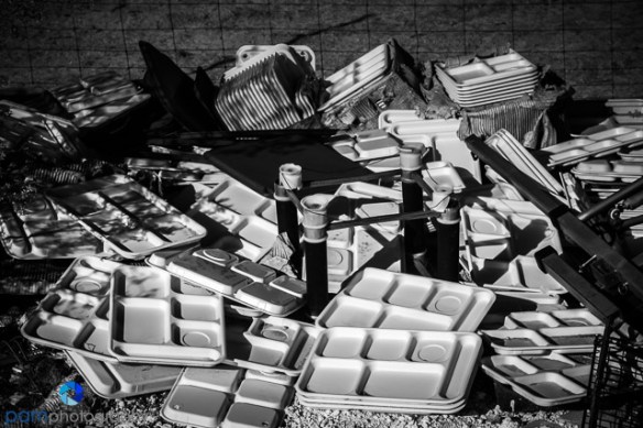 1702_psa_joshua-tree-ir_245