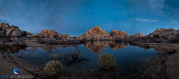 Saturday, February XXX