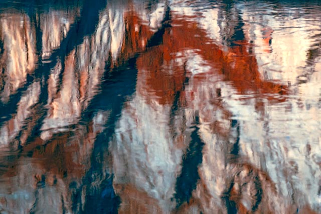 Photography Project:  Natural Abstracts with a&nbsp;Twist