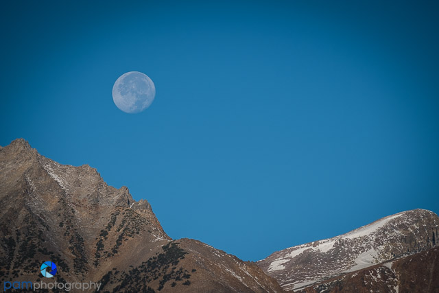 1710_PSA_Eastern Sierra_193