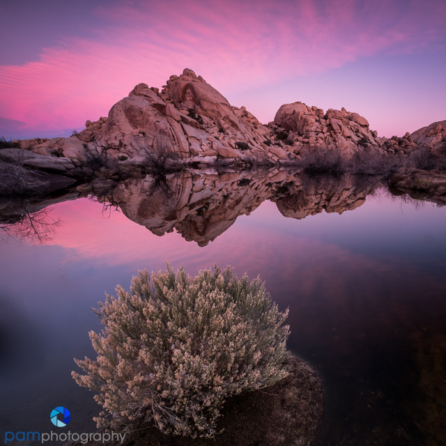 Peter’s Favorite Photos from&nbsp;2017